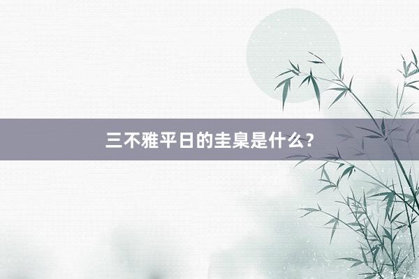 三不雅平日的圭臬是什么？